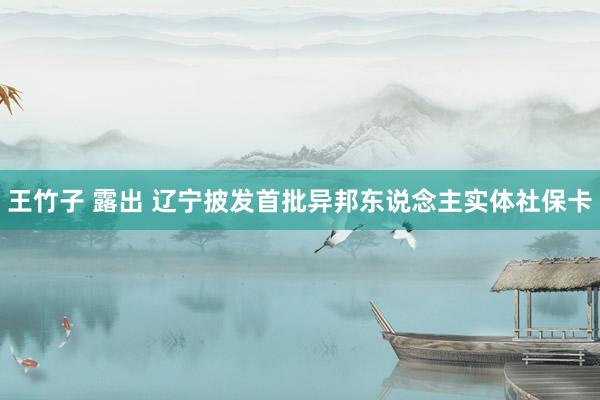王竹子 露出 辽宁披发首批异邦东说念主实体社保卡