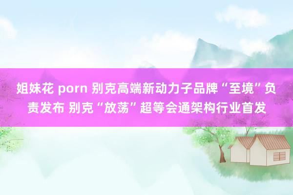 姐妹花 porn 别克高端新动力子品牌“至境”负责发布 别克“放荡”超等会通架构行业首发