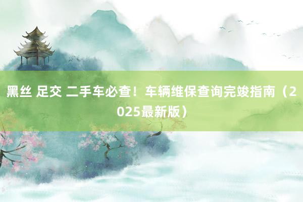 黑丝 足交 二手车必查！车辆维保查询完竣指南（2025最新版）