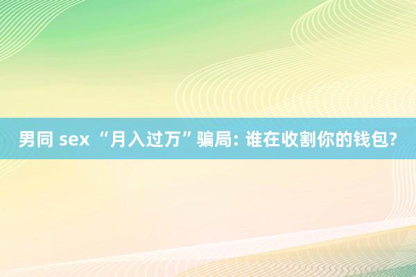 男同 sex “月入过万”骗局: 谁在收割你的钱包?